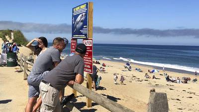 Ataque de tiburón en playa de Massachusetts deja un surfista muerto