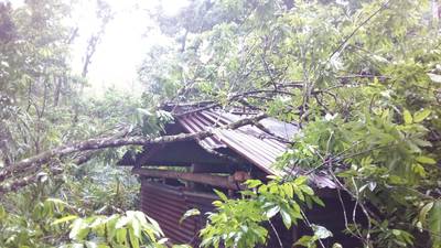 Lluvias acompañadas de vientos causan daños en Alta Verapaz y Sololá