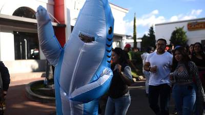 ¡Tiburones y grandes colas! Bad Bunny es una sensación en Guatemala
