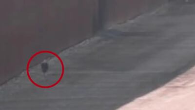 Video revela el momento en el que “coyote“ abandona a una niña en muro fronterizo