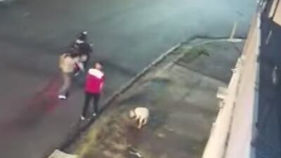 VIDEO. Perro salva a su dueño de un asalto, pero le disparan